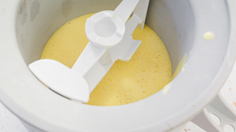 Gelato au citron en machine à crème glacée